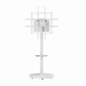 Stojak pod telewizor 37-86" z kółkami do 50kg Gembird biały