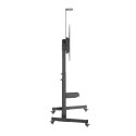 Stojak pod telewizor mobilny z kółkami 60-100" do 120kg Gembird czarny