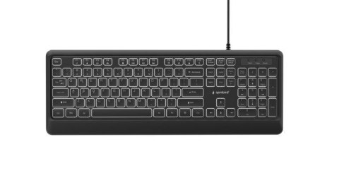 Klawiatura multimedialna z podświetleniem USB (A+C) Gembird KB-UML-04 1.8m czarna